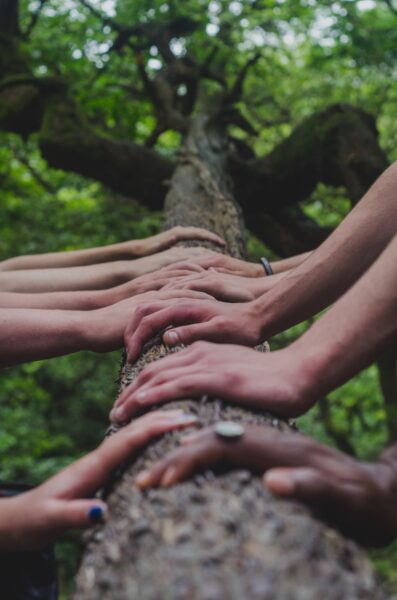 hands of 5 or 6 people resting on a tree limb
